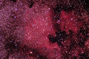 The North America Nebula (Cygnus)